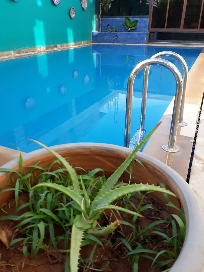 Bed & Breakfast Riad Passiflora Fès Marocko